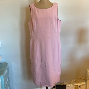NWT Evan Piccone Shift Dress